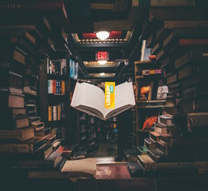 Photo by Jaredd Craig on Unsplash