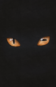 Hairball by Matt Kindt, Tyler Jenkins, and Hilary Jenkins